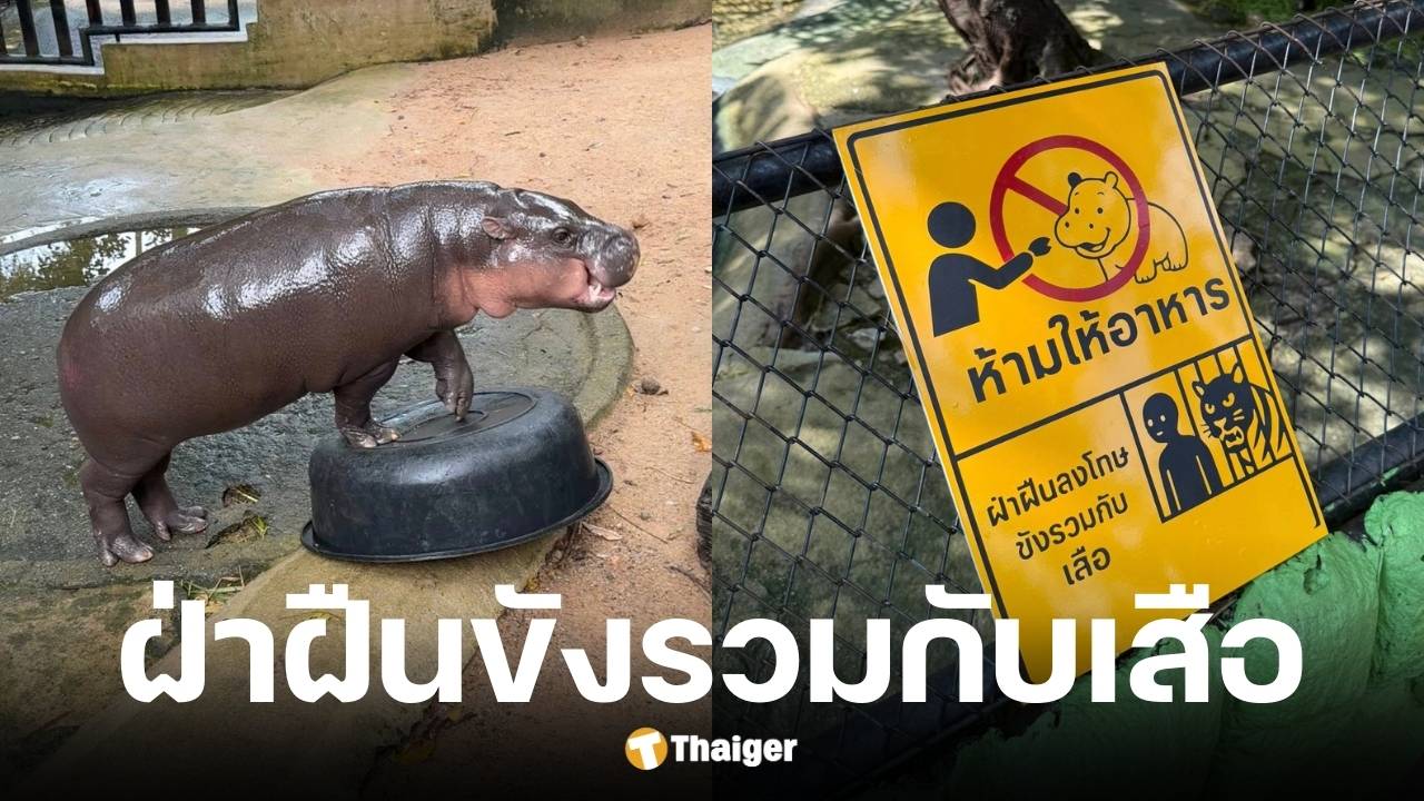 สวนสัตว์เขาเขียวคุมเข้มหลังดราม่านักท่องเที่ยวบุกรุกยามวิกาล