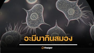 หนุ่มสหรัฐดวงซวย ลงเล่นน้ำในทะเลสาบ ป่วย เยื่อหุ้มสมองอักเสบจากเชื้ออะมีบากินสมอง โอกาสตายภายใน 5 วัน