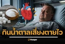 งานวิจัยเผยเรื่องช็อก ติดตามการกินคนมา 15 ปี น้ำตาล อันตรายต่อหัวใจยิ่งกว่าคอเลสเตอรอล เสี่ยงเสียชีวิตเพิ่ม 3 เท่า แม้ไม่อ้วน
