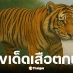 เลขเด็ด เสือตกถังพลังเงินดี งวดวันที่ 16 ส.ค. 68
