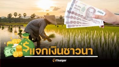 ชาวนารับเงินช่วยเหลือไร่ละ 1,000 บาท ปี 68/69 วงเงินสูงสุด 10,000 บาท เปิดวิธีเช็กสถานะการโอนเงินผ่านเว็บ govtransfer.baac.or.th