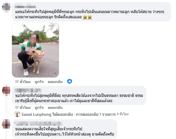 คอมเมนต์ชาวเน็ต
