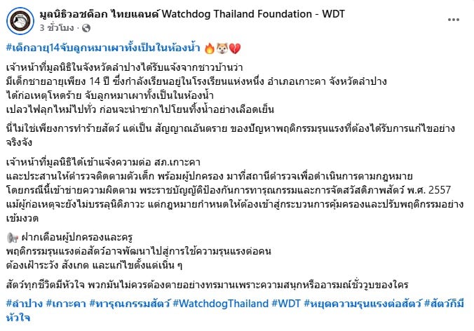 หน้าจอโพสต์เฟซบุ๊กจากเพจ มูลนิธิวอชด็อก ไทยแลนด์
