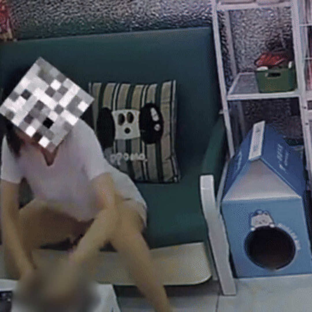 ภาพจากกล้องวงจรปิด แสดงหญิงสาวคนหนึ่งกำลังทารุณกรรมแมว