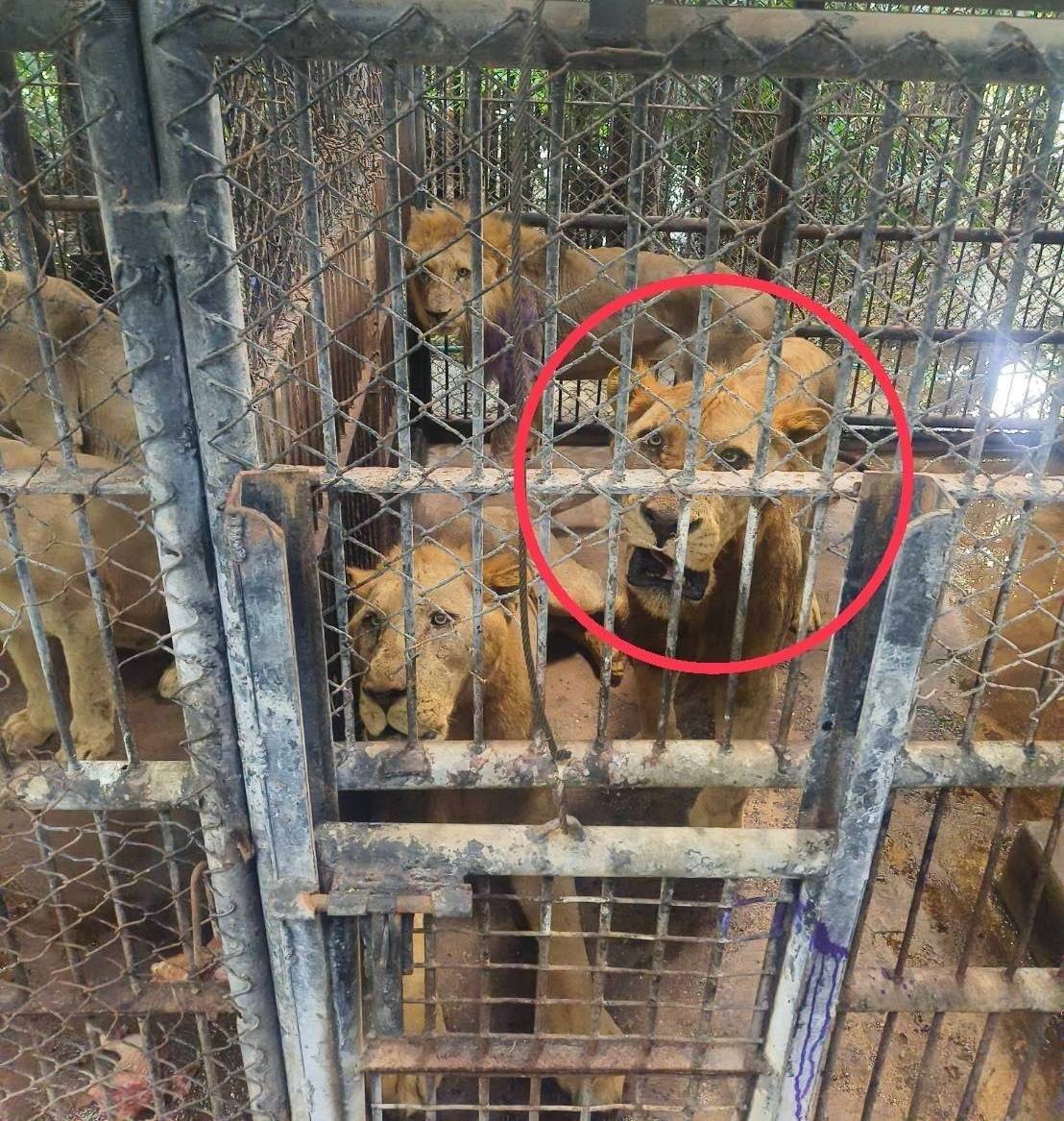 23 จุดบกพร่อง สวนสัตว์ ซาฟารีเวิล์ด