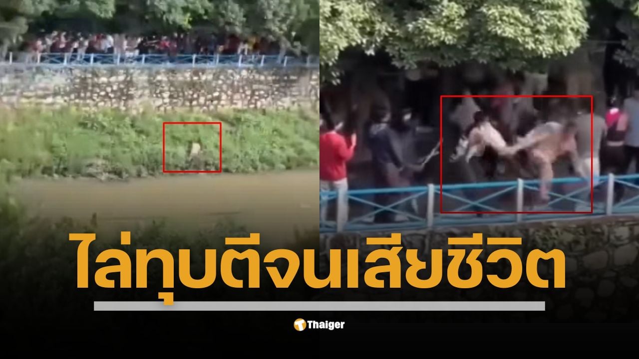 รายงานจากเพจ Army Military Force เผยคลิปผู้ประท้วง Gen-Z ในเนปาลโกรธแค้นรัฐบาลปิดกั้นโซเชียลมีเดียและปัญหาคอร์รัปชัน ไล่ทุบตีรัฐมนตรีจนเสียชีวิตในที่สุด