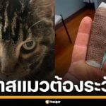 สาวมะกัน โดนแมวข่วนปลายนิ้ว สุดท้ายติดเชื้อหนัก ต้องนอน รพ.ซ้ำโดนถอดเล็บ