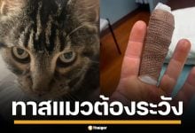 สาวมะกัน โดนแมวข่วนปลายนิ้ว สุดท้ายติดเชื้อหนัก ต้องนอน รพ.ซ้ำโดนถอดเล็บ
