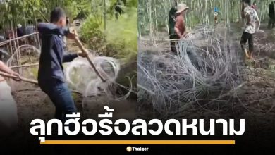 เขมรระดมชาวบ้าน ป่วนรื้อลวดหนาม หนองจาน ซ้ำตะโกนด่าไทย สุดท้ายสลายตัวแล้ว