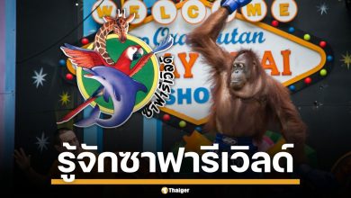 รู้จัก "ซาฟารีเวิลด์" แหล่งท่องเที่ยวสุดฮิต อาณาจักรสัตว์ป่า ใจกลางกรุงเทพฯ