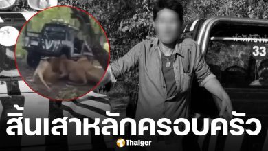 ครอบครัวใจสลาย เผยคำสัญญา พี่เจียน ก่อนถูกสิงโตขย้ำดับสลด