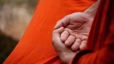 ตำรวจออกหมายเรียกคนปล่อยคลิปปลอม พระสมสู่หมา