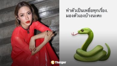 อุ๊ย! "น้ำชา ชีรณัฐ" โพสต์รูปงู ลั่น "เรื่องเดิมกับคนใหม่" ชาวเน็ตรอใส่ใจพูดถึงใครกัน?