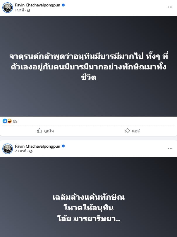 ปวิน สวนความเห็นจาตุรนต์ อ้างอนุทินมีอำนาจมาก