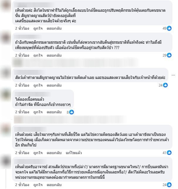 คอมเมนต์ชาวเน็ตหลังอ.ธรณ์โพสต์เรื่องสิงโตขย้ำพี่เจียน - 2
