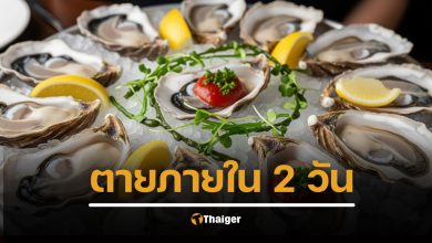 กินหอยนางรมปนเปื้อน แบคทีเรียกินเนื้อ ในสหรัฐฯ เสียชีวิตแล้ว 6 ราย พุ่งสูงสุดในรอบทศวรรษ รวม 34 ราย 