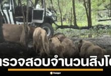 อธิบดีกรมอุทยานฯ สั่งเร่งตรวจสอบด่วน หลัง "ซาฟารีเวิลด์" เผยยอดสิงโต