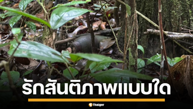 ทบ.ซัดกัมพูชา ลอบวางระเบิดใกล้ ปราสาทตาควาย ชี้ละเมิดข้อตกลง ย้อนแย้งสันติภาพ