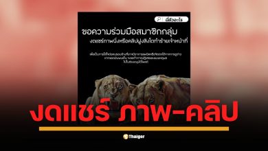 แอดมินเพจ นี่ตัวอะไร วอนสมาชิกอย่าเพิ่งตัดสิน-โทษฝ่ายใด รอผลชันสูตรและแถลงการณ์ทางการจากสวนสัตว์ โดยให้เหตุผลเพื่อเป็นการใส่ใจต่อคนรอบข้างที่อาจมีอาการแพนิกหรือจิตตกได้จากการดูข่าว