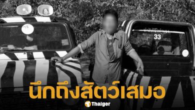 โพสต์สุดท้าย พี่เจียน เจ้าหน้าที่สวนสัตว์ ก่อนถูกสิงโตรุมขย้ำร่าง ต่อหน้านักท่องเที่ยว