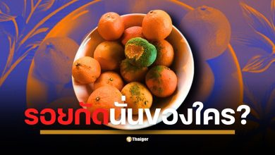 อ.ปวิน โพสต์ภาพส้มเน่า หลังพรรคประชาชนโหวตหนุนอนุทิน หัวหน้าพรรคประชาชนยืนยัน การตัดสินใจไม่ได้คำนึงถึงคะแนนนิยมหรือผลประโยชน์พรรค แต่ทำเพื่อนำประเทศไปสู่ทางออกตามระบอบประชาธิปไตย