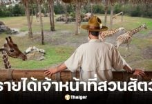 เงินเดือนเจ้าหน้าที่สวนสัตว์ ฐานเงินเดือนเริ่มต้น 11,000 บาท