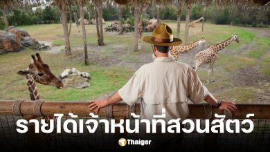 เงินเดือนเจ้าหน้าที่สวนสัตว์ ฐานเงินเดือนเริ่มต้น 11,000 บาท