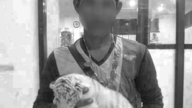 พี่เจียน เจ้าหน้าที่สวนสัตว์ถูกสิงโตกัด เปิดผลชันสูตรศพ