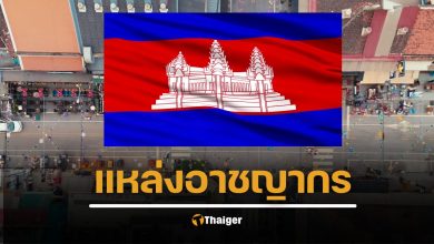 เหยื่อสาวเกาหลีใต้ เผยถูกหลอกทำงานรายได้สูง ในกัมพูชา ก่อนโดนซ้อม-รีดเงิน ชี้ยังมีคนเกาหลีถูกขังอีกเพียบ เบื้องหลังคาดเป็นแก๊งอาชญากรรมจีนร่วมมือเจ้าถิ่น