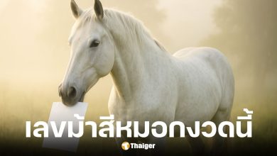เลขเด็ดม้าสีหมอก งวดวันที่ 16 กันยายน 2568