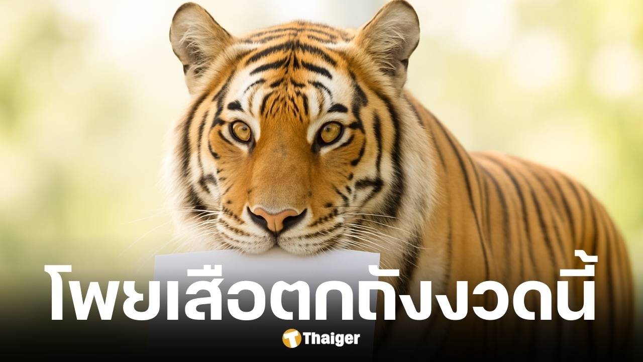 เลขเด็ด เสือตกถังพลังเงินดี งวด 16 กันยายน 2568