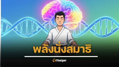 ฮาวาร์ด พบความจริง สมาธิเปลี่ยนสมอง และ DNA ของคุณได้ จริงหรือ?