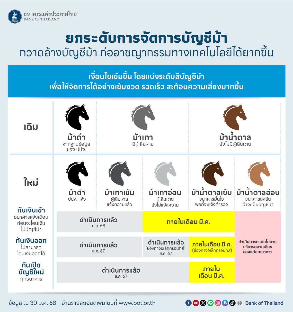 อินโฟกราฟิกประเภทบัญชีม้า