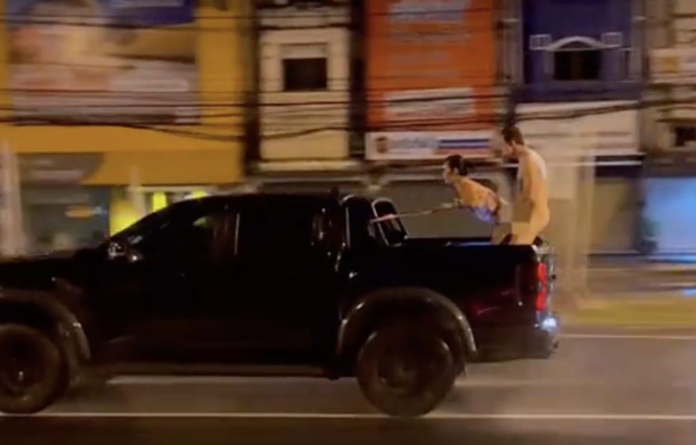 คลิปวิดีโอฉาวว่อนโซเชียล ชายต่างชาติมีเพศสัมพันธ์ท้ายรถกระบะกำลังวิ่งบนถนน คาดว่าเป็นจังหวัดภูเก็ต ประชาชนสุดทน ทำลายภาพลักษณ์การท่องเที่ยวอย่างรุนแรง เรียกร้องให้ทางการดำเนินคดีแ ขึ้นบัญชีดำห้ามเข้าประเทศตลอด