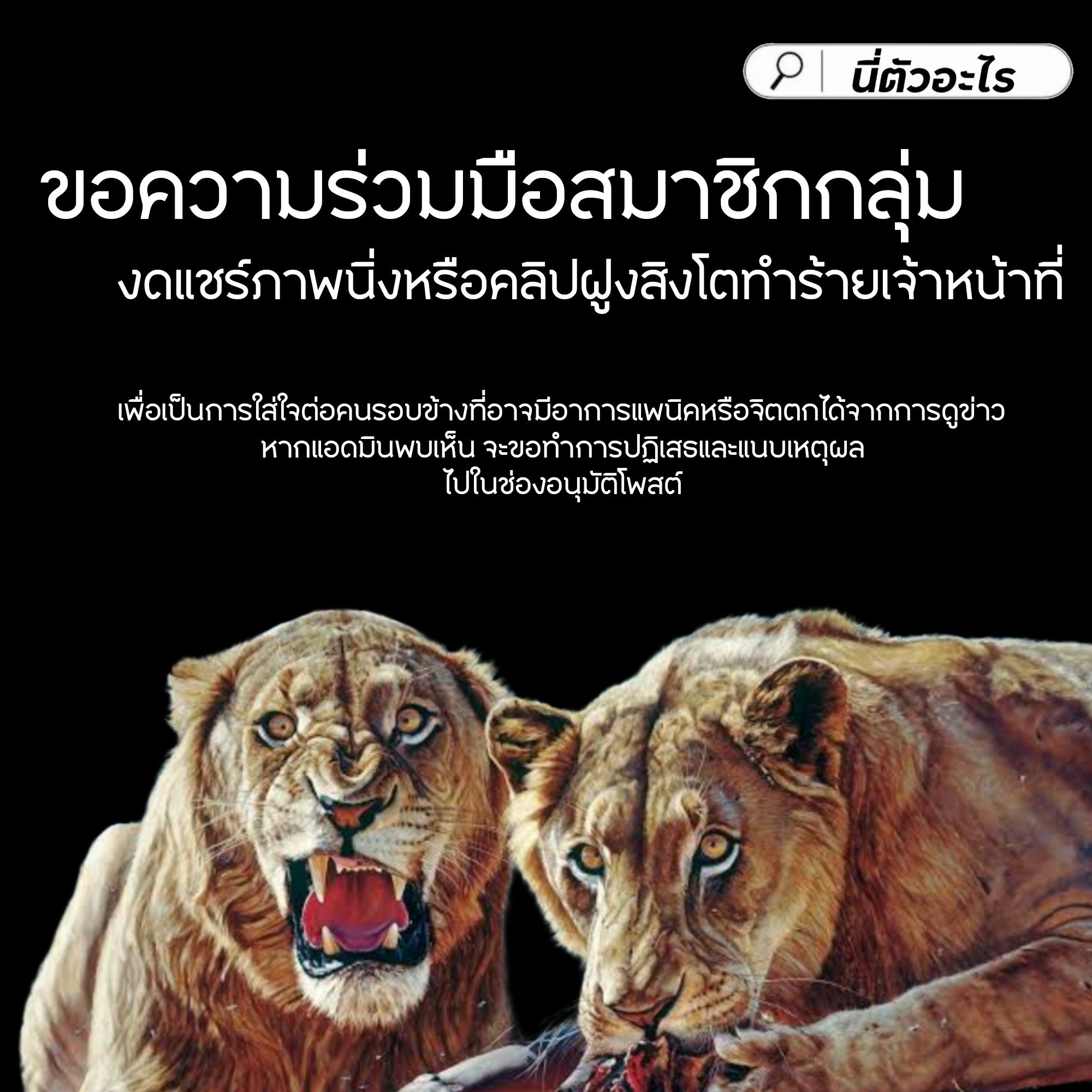 วอนอย่าเพิ่งโทษฝ่ายใด หวังรอผลชันสูตรและแถลงการณ์จากสวนสัตว์