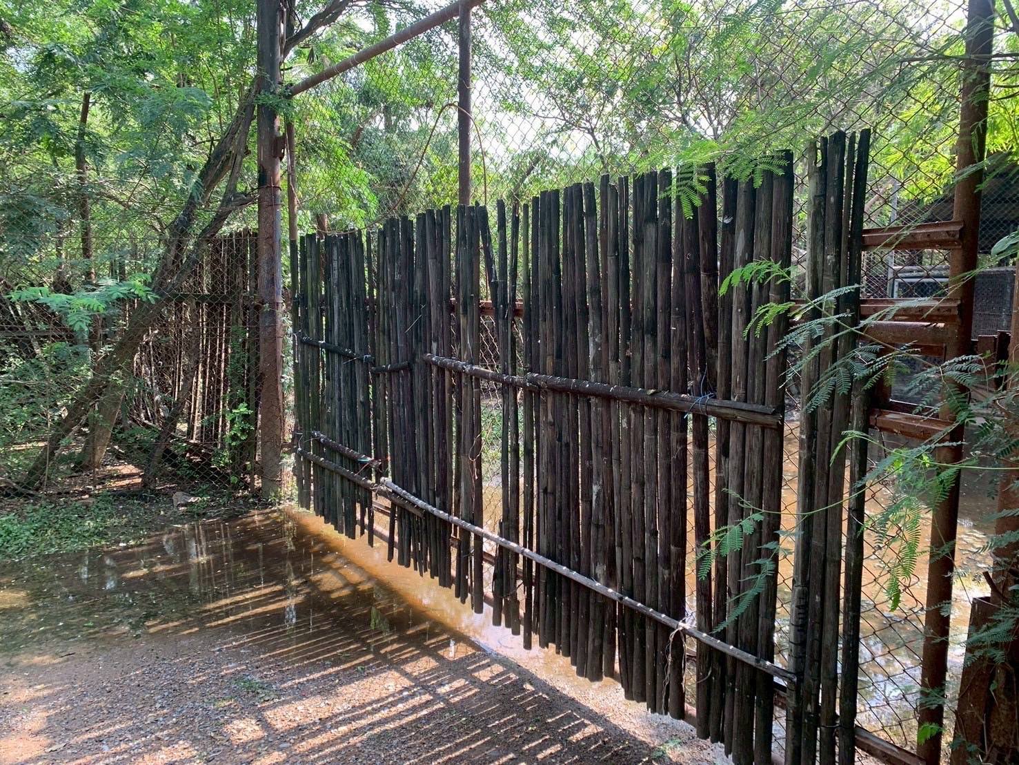 สภาพกรงสิงโตบางส่วนพบว่ามีน้ำท่วมขัง บางจุด