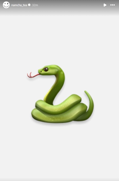 อุ๊ย น้ำชา ชีรณัฐ โพสต์รูปงู ลั่น เรื่องเดิมกับคนใหม่ ชาวเน็ตรอใส่ใจพูดถึงใครกัน-5