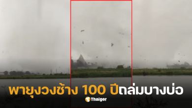 พายุงวงช้าง คือ