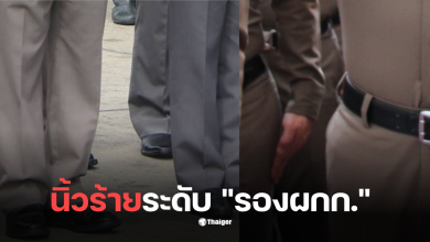 รองผกก บริษัทญาติบัญชีม้า