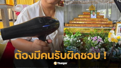 ไดร์เป่าผมช็อตเด็ก