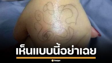 แม่เอะใจ เห็นสัญลักษณ์แปลกๆ บนมือลูกสาว ก่อนรู้ความจริงสุดช็อก รีบแจ้งตำรวจทันที