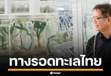 &quot;อ.ธรณ์&quot; ทำสำเร็จ เพาะเลี้ยง &quot;หญ้าคาทะเล&quot; ได้เป็นที่แรกของไทย และแห่งเดียวในโลก