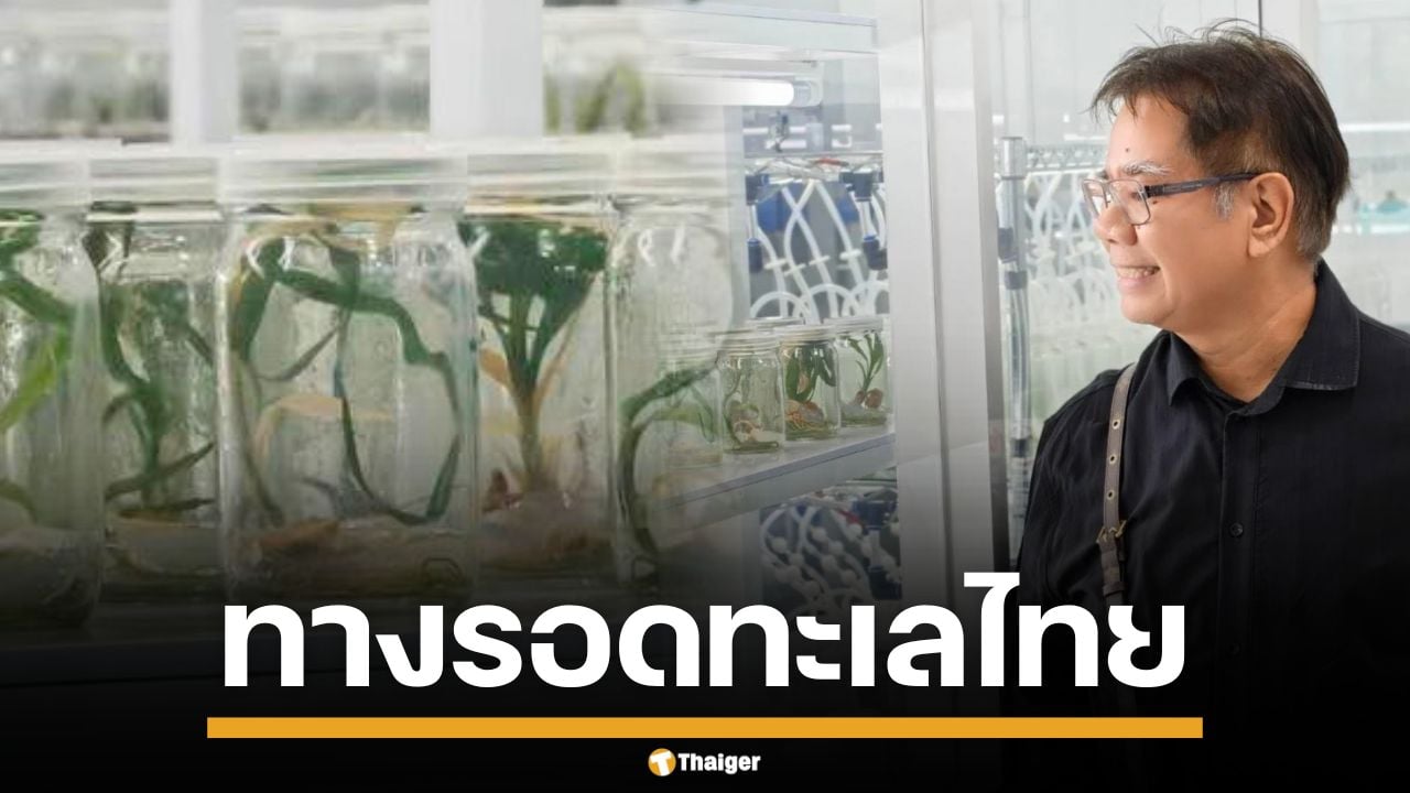 "อ.ธรณ์" ทำสำเร็จ เพาะเลี้ยง "หญ้าคาทะเล" ได้เป็นที่แรกของไทย และแห่งเดียวในโลก