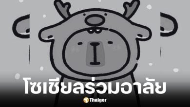 พี่หมี ผู้ก่อตั้งกลุ่มนี่ตัวอะไรเสียชีวิต