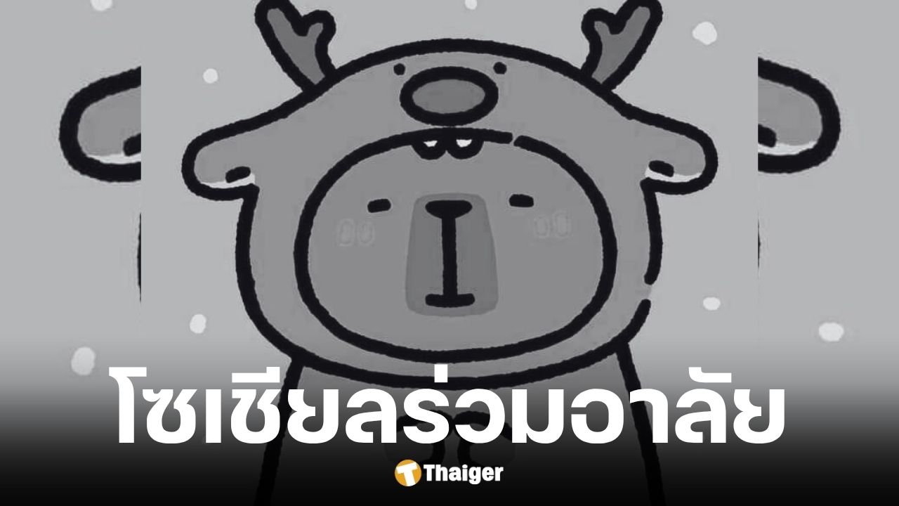 พี่หมี ผู้ก่อตั้งกลุ่มนี่ตัวอะไรเสียชีวิต