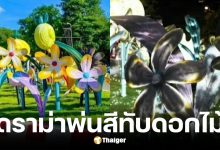 นายกฯ เชียงใหม่แจงปมพ่นสีดำทับดอกไม้