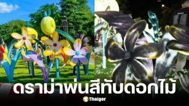 นายกฯ เชียงใหม่แจงปมพ่นสีดำทับดอกไม้