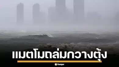 จีนอ่วม! พายุไต้ฝุ่น "แมตโม" ถล่มกวางตุ้ง ทำไฟดับ เสียหายหนัก จนท.เร่งกู้ระบบไฟฟ้า