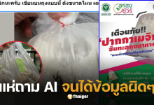 ปากกาเขียนถุงแกง