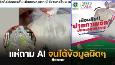 ปากกาเขียนถุงแกง